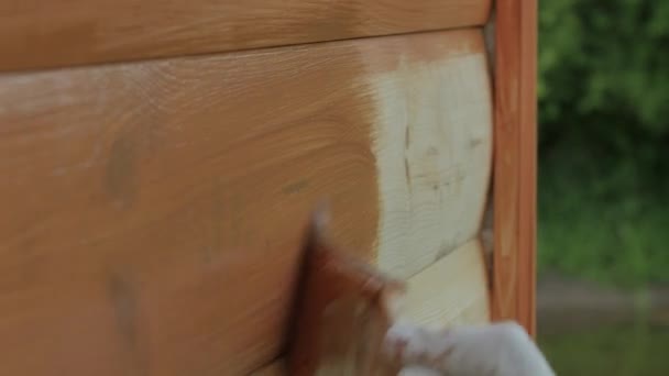 Close-up van schilderen op hout met een borstel met de bruine kleur - Video