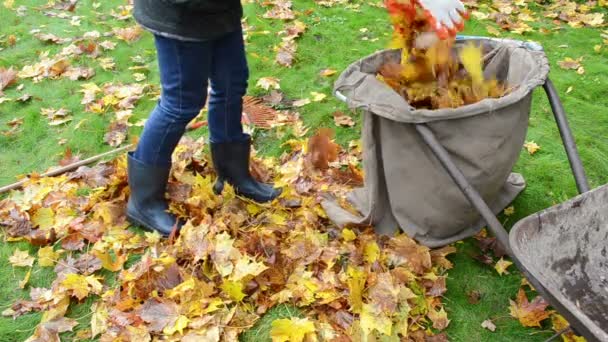 Mujer carga carretilla hojas
 - Metraje, vídeo
