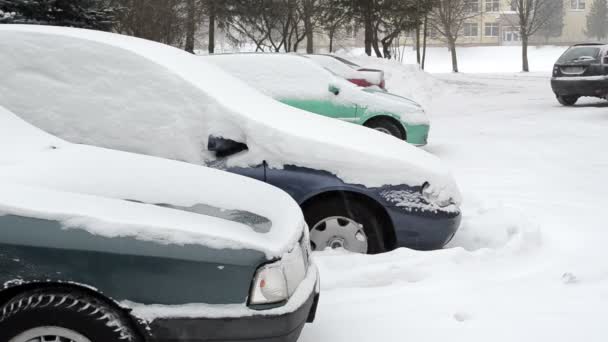 Blizzard паркування автомобілів
 - Кадри, відео