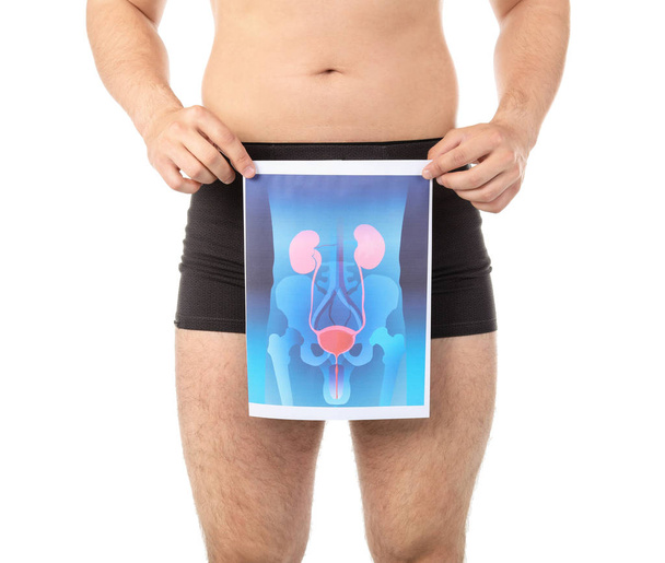 Young man holding picture of urinary system on white background - Photo, Image
