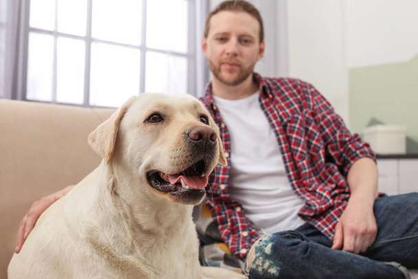 Adorable yellow labrador retriever with owner on couch indoors - Фото, зображення