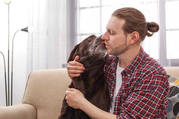 Adorable brown labrador retriever with owner on couch indoors - Photo, image