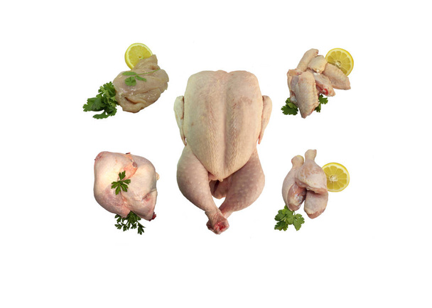 Collage de pollo aislado sobre un fondo blanco, pollo fresco dividido en partes
 - Foto, imagen