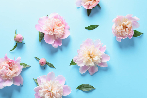 Beautiful fragrant peony flowers on color background - Foto, immagini
