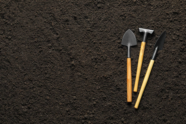 Rake and trowels on soil, top view. Professional gardening tools - Fotoğraf, Görsel