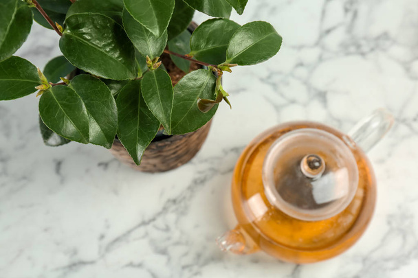Tea shrub near glass pot of hot beverage on table, top view - Fotografie, Obrázek