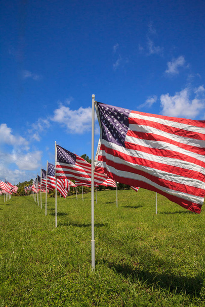 Patriotic display of multiple large American flags wave in the wind during the holiday. - Photo, Image