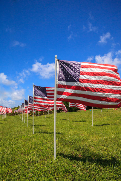 Exhibición patriótica de múltiples grandes banderas estadounidenses ondean en el viento durante las vacaciones
. - Foto, Imagen