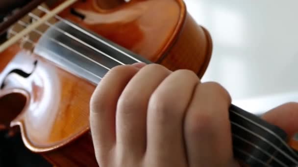 un músico está tocando el violín, un instructor de música violín cercano., - Metraje, vídeo