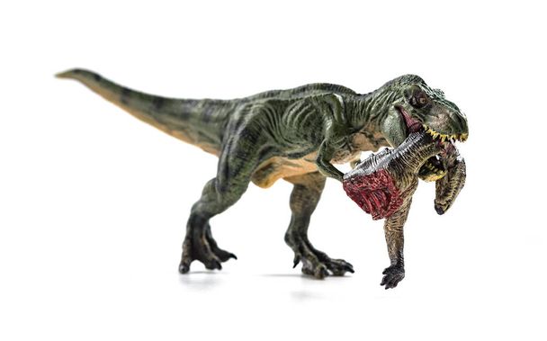 白い背景の上の血で恐竜の体を噛んでティラノサウルス - 写真・画像