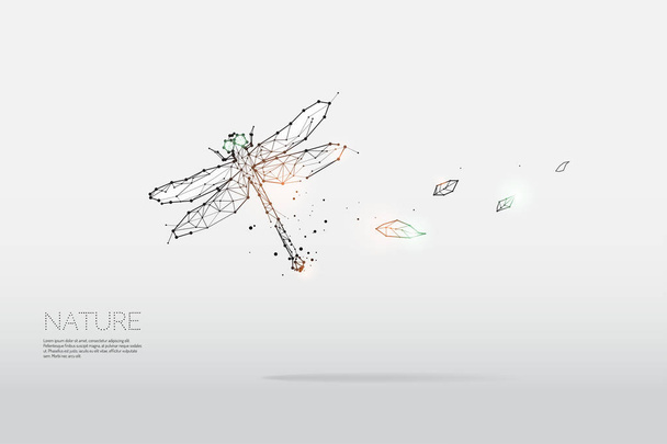 The particles, geometric art, line and dot of dragonfly - Vector, Image