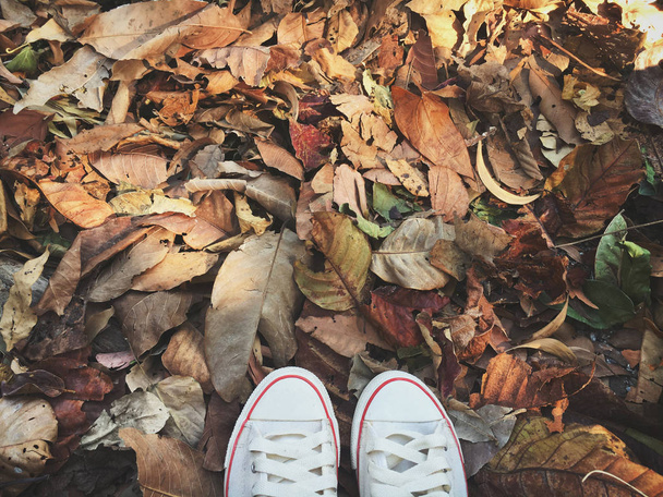 Top view of white sneakers on ground with autumn leave - Fotografie, Obrázek