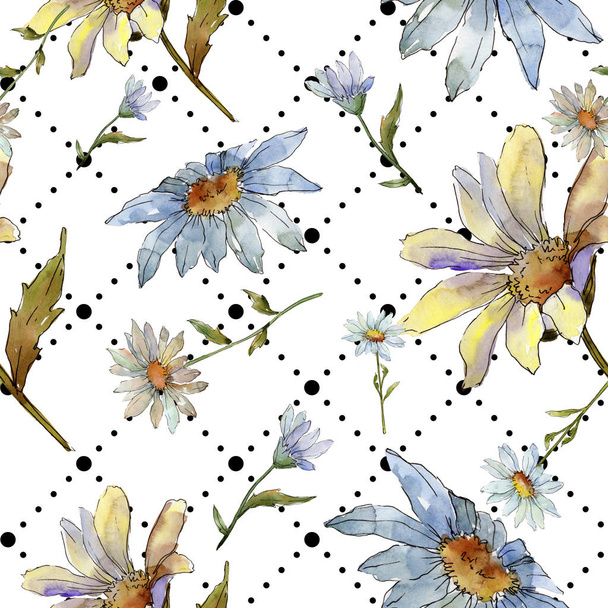 Wildflower daisy. Floral botanical flower.Seamless background pattern. Fabric wallpaper print texture. Aquarelle wildflower for background, texture, wrapper pattern, frame or border. - Фото, изображение