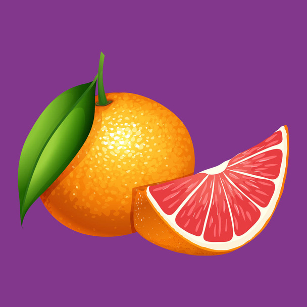 Una organización pomelo sobre fondo púrpura ilustración
 - Vector, Imagen
