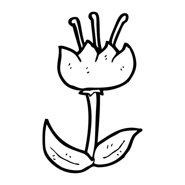Tulip flower - Vector, Image