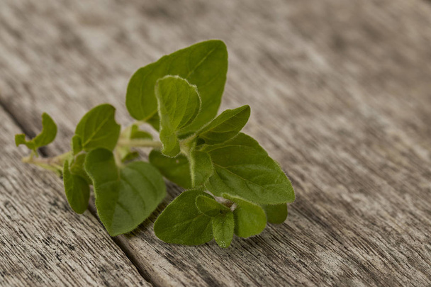 Herb Oregano leaves on rustic wooden background. Top view. - Photo, Image