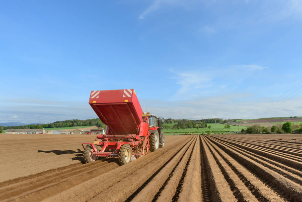 Plantation de pommes de terre avec tracteur et équipement spécialisé
. - Photo, image