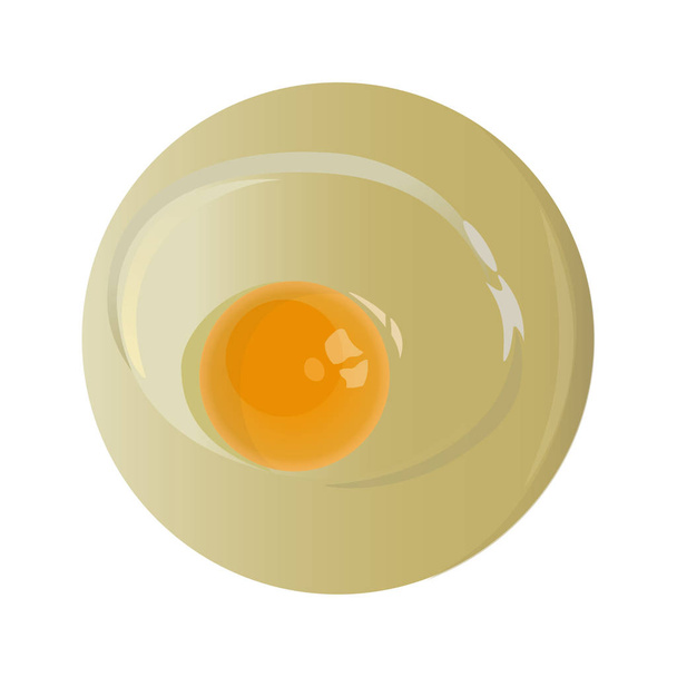 Raw chicken egg with one yolk. Vector illustration isolated on white background - Vecteur, image