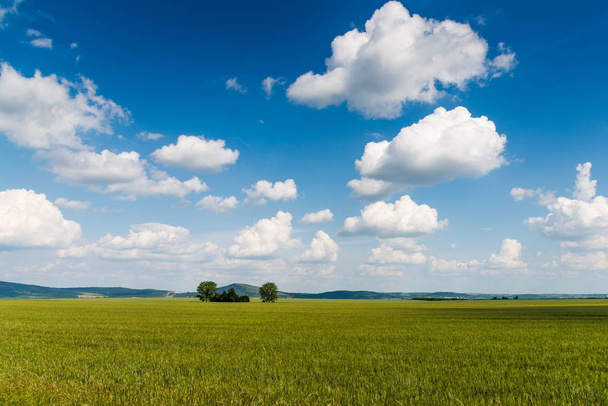 Blick auf das grüne Feld unter blauem bewölkten Himmel am Tag     - Foto, Bild