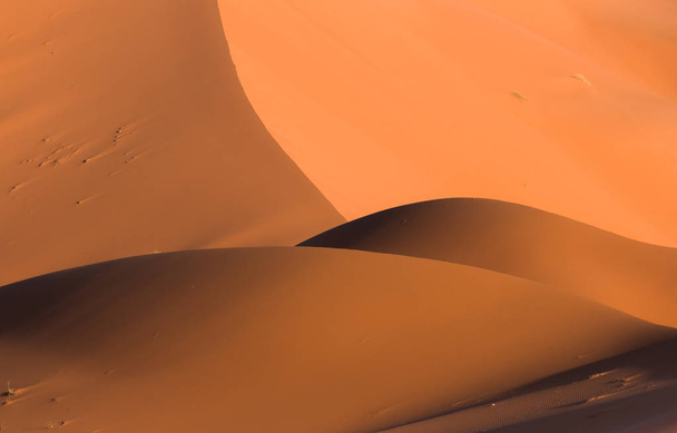 długa zagięta hill w pustyni Sahara w Maroko - Zdjęcie, obraz