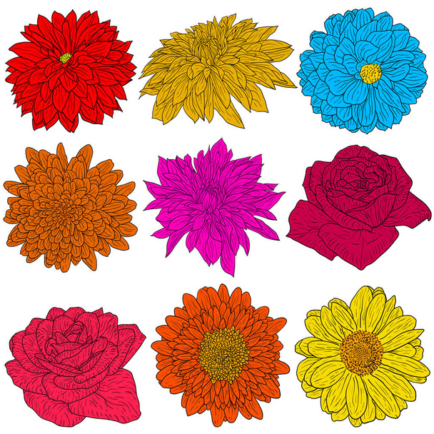 Beautiful color sketch flower on white background - Vector, Image