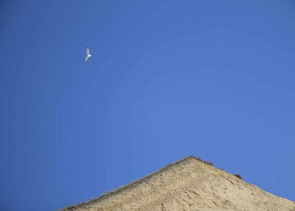 La gaviota volando en el cielo azul soleado sobre la rotura del suelo de arcilla de arena. Simbolo de minimalismo y libertad
 - Foto, Imagen