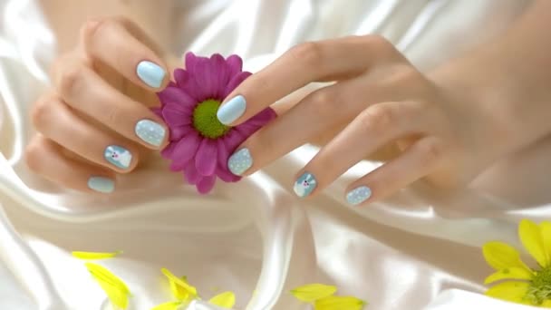 Beautiful chrysanthemum in female hands. - Footage, Video