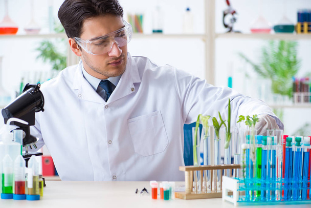 Mannelijke biochemicus werkzaam in het lab op planten - Foto, afbeelding