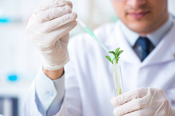 Bioquímico masculino trabajando en el laboratorio de plantas - Foto, Imagen