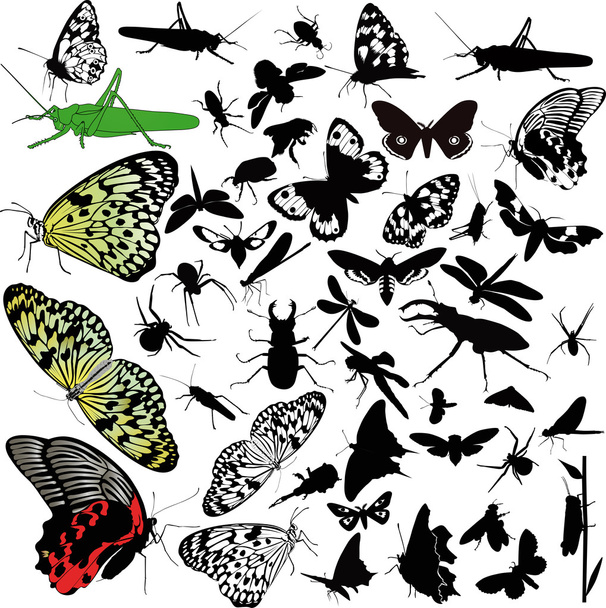 Набір комах тварин
 - Вектор, зображення