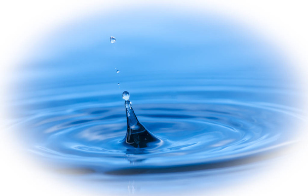 μπλε νερό πιτσίλισμα απομονωθεί σε λευκό φόντο - Φωτογραφία, εικόνα