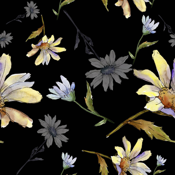Wildflower daisy. Floral botanical flower.Seamless background pattern. Fabric wallpaper print texture. Aquarelle wildflower for background, texture, wrapper pattern, frame or border. - Foto, Imagen