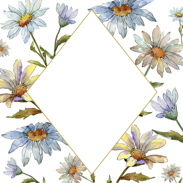 Wildflower daisy. Floral botanical flower. Frame border ornament square. Aquarelle wildflower for background, texture, wrapper pattern, frame or border. - Фото, изображение