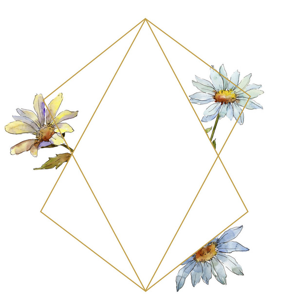 Wildflower daisy. Floral botanical flower. Frame border ornament square. Aquarelle wildflower for background, texture, wrapper pattern, frame or border. - Foto, Imagem