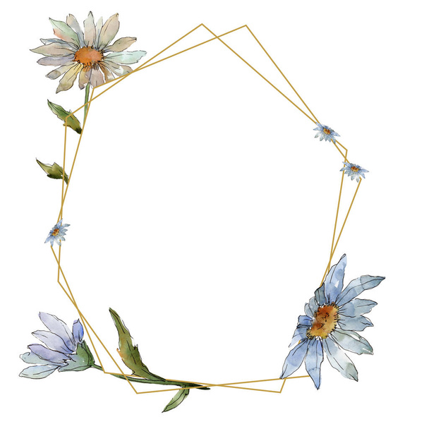 Wildflower daisy. Floral botanical flower. Frame border ornament square. Aquarelle wildflower for background, texture, wrapper pattern, frame or border. - Foto, Imagen