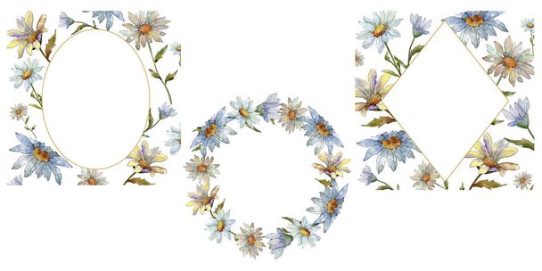 Wildflower daisy. Floral botanische bloem. Frame grens ornament vierkant. Aquarelle wildflower voor achtergrond, textuur, wrapper patroon, frame of rand. - Foto, afbeelding