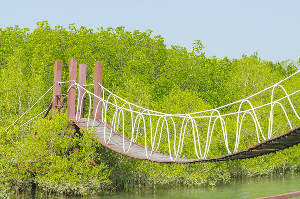 Szuszpenziós híd mangrove erdőben, trópusi területen - Fotó, kép