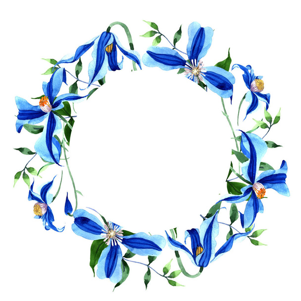 Blue durandii clematis. Цветочный ботанический цветок. Пограничный квадрат Aquarelle для фона, текстуры, узора обертки, рамки или границы
. - Фото, изображение