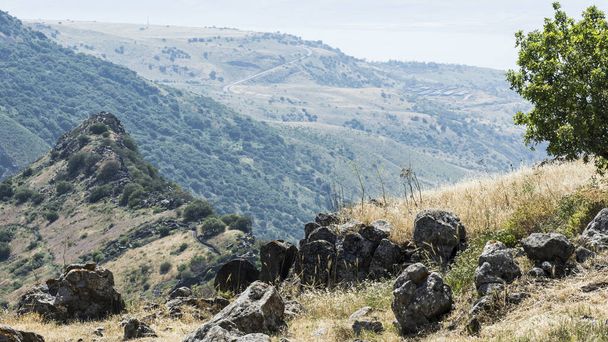 Réserve naturelle Gamla située sur les hauteurs du Golan en Israël. Vue des sites archéologiques et de la mer de Galilée
 - Photo, image