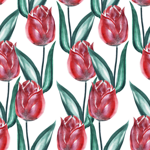 Elegant seamless pattern with watercolor tulip  flowers, design elements. Floral pattern for invitations, greeting cards, scrapbooking, print, gift wrap, manufacturing, textile.  - Foto, Imagen