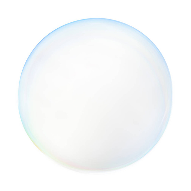 Soap bubble on a white background . - Фото, зображення
