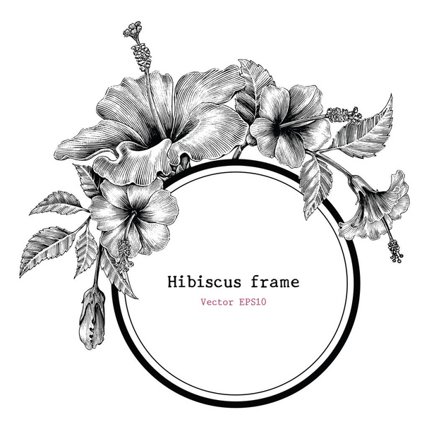 Ιβίσκος λουλούδι χέρι καρέ σχέδιο vintage εικόνες clip art - Φωτογραφία, εικόνα