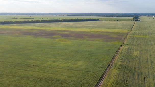 Zemědělská půda shora - letecký snímek svěží zelené soubor - Fotografie, Obrázek