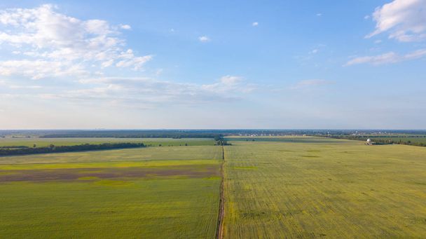 Terres agricoles d'en haut - image aérienne d'un vert luxuriant classé
 - Photo, image