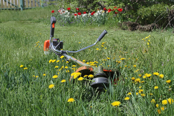 De trimmer voor gras snijden ligt op de helder groene gras en gele paardebloemen in de tuin. - Foto, afbeelding