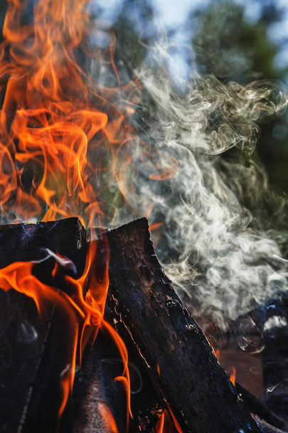 Smoke and flames rising from burning firewood on a sunny summer day - Photo, Image