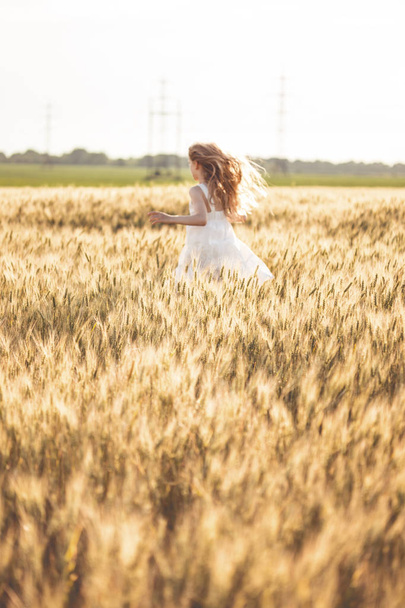 happy summer and freedom. wheat field and running girl out of focus on a sunny da - Foto, afbeelding