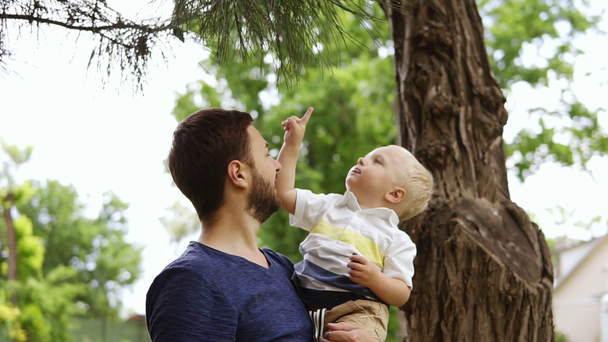 Молодий батько з синьою футболкою і бородою показує своєму допитливому молодому синові хвойне дерево з голкою. Тримає його на руках. крупним планом
 - Кадри, відео