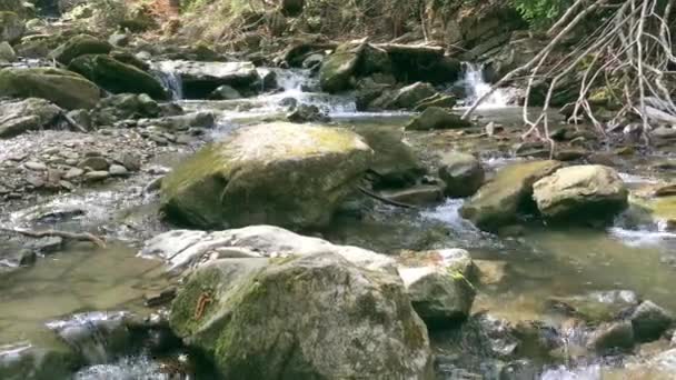 Gyors hegyi patak kövek között. Egy napsütéses napon, nyáron vagy tavasszal. Közeli kép:. - Felvétel, videó