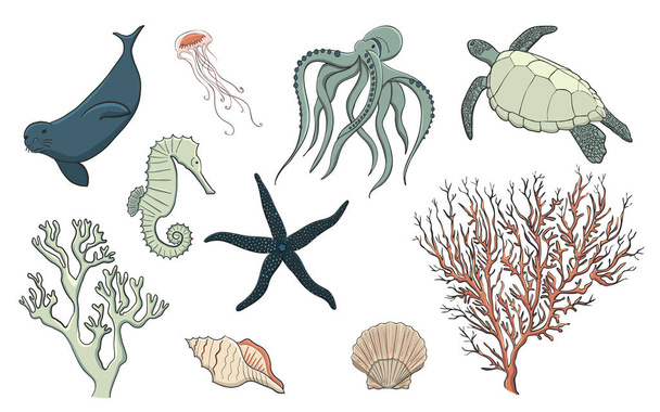 Mano dibujado conjunto de vida marina, vector
 - Vector, imagen
